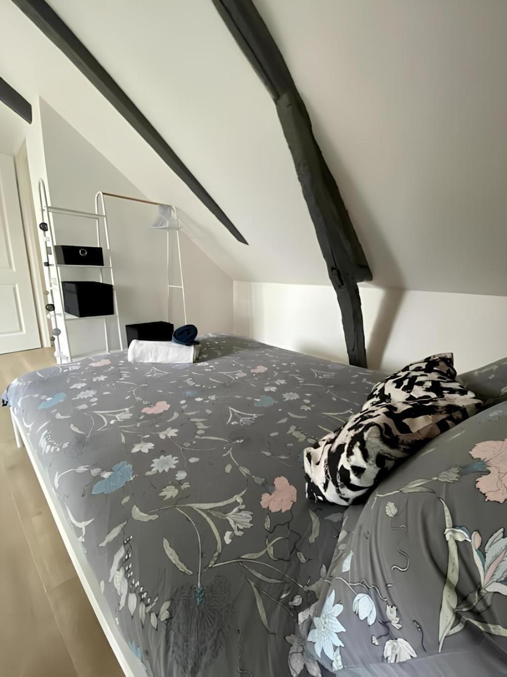 Maison Familiale Avec Exterieur Menage Et Linges Inclus Rouen Buitenkant foto